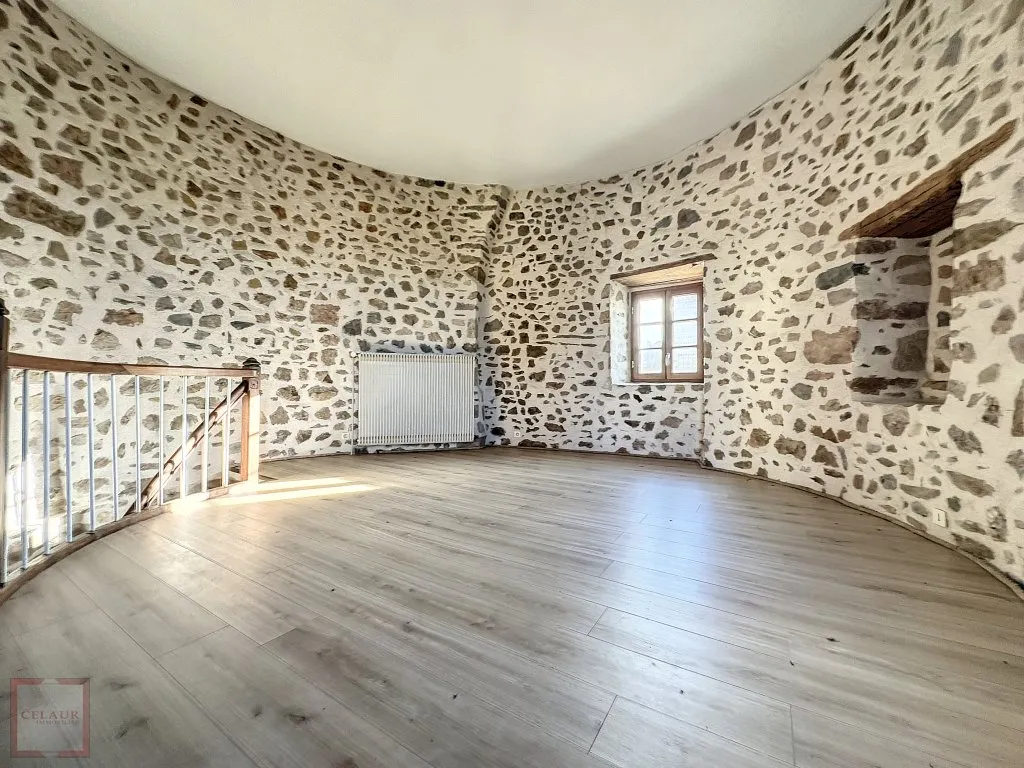 JOLIE MAISON ATYPIQUE RENOVEE AVEC JARDIN