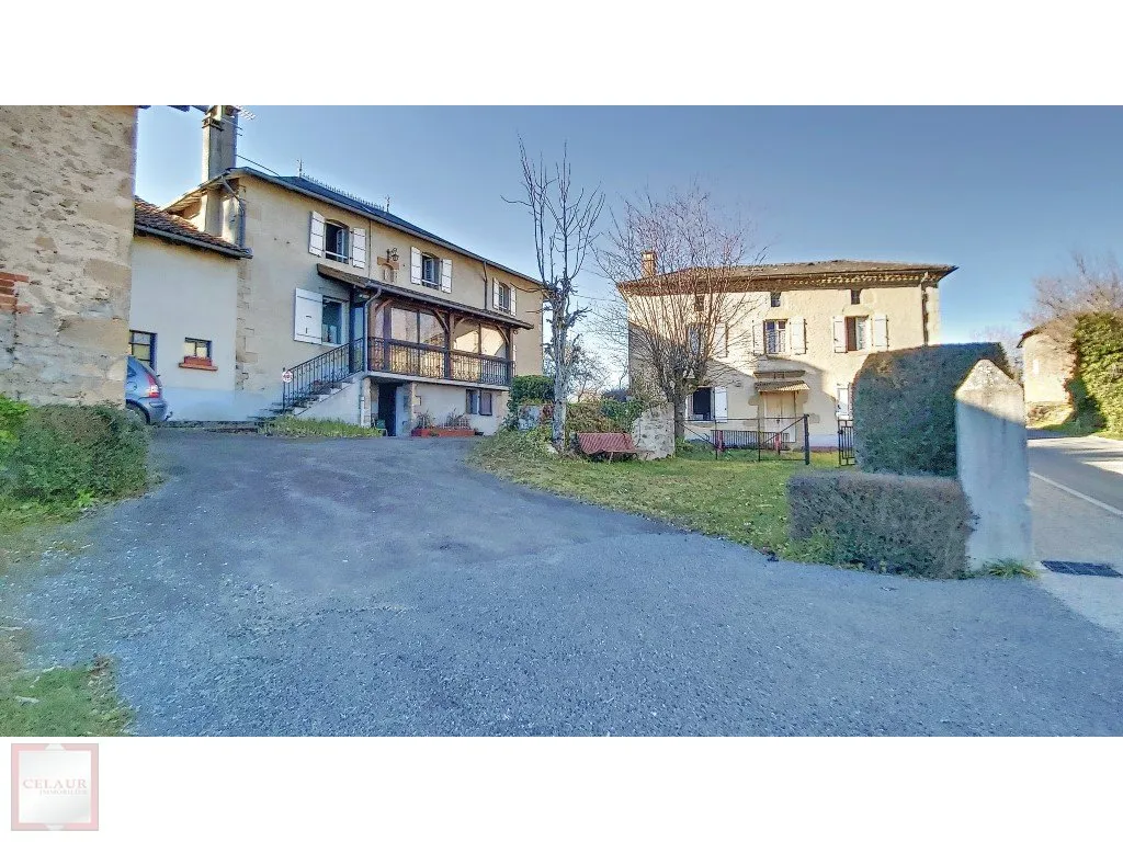 ENSEMBLE EN PIERRE DE CARACTERE