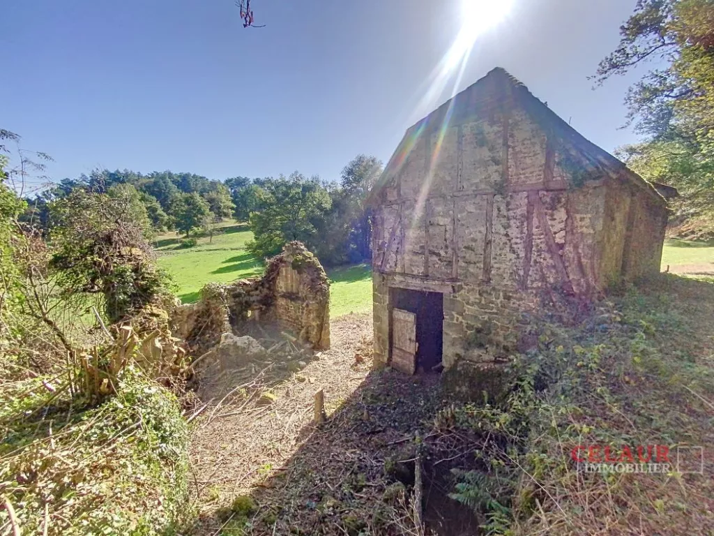 GRANGE A RESTAURER SUR 1.3 HA