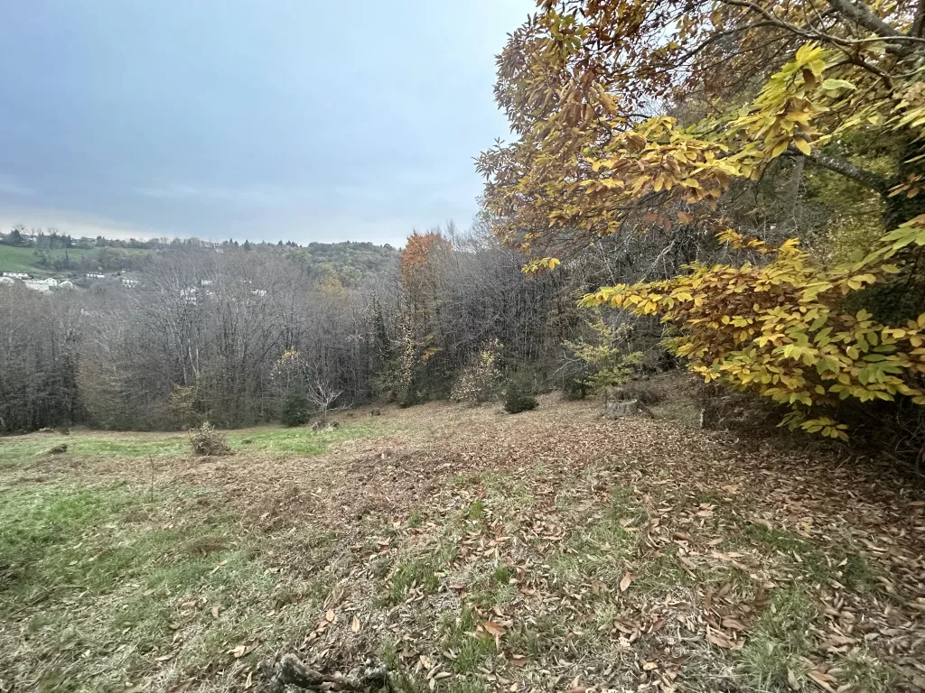 TERRAIN AVEC PARTIE CONSTRUCTIBLE