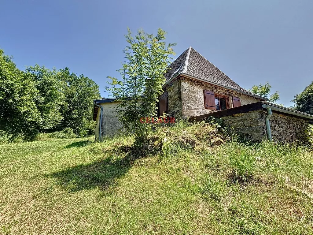 Maison pierre avec d&eacute;pendance et terrain