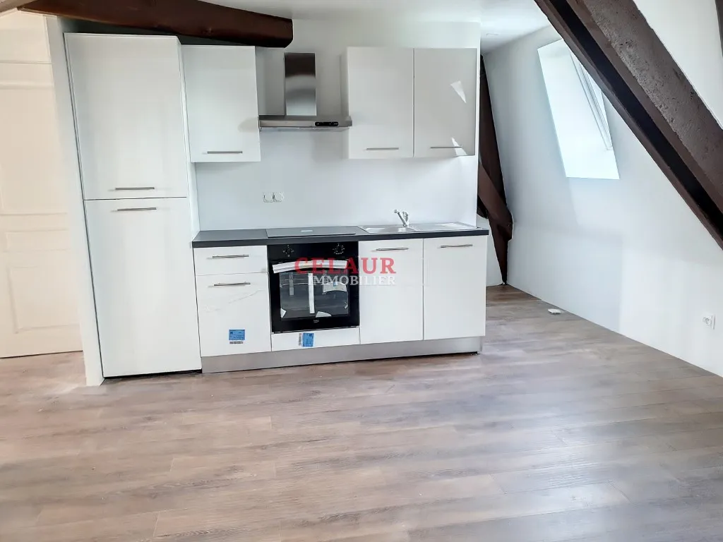 Appartement enti&eacute;rement renov&eacute;