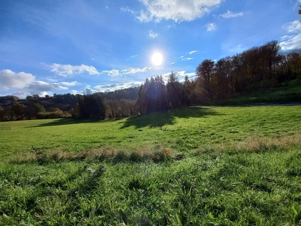 TERRAIN &Agrave; B&Acirc;TIR